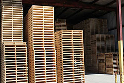 Pallets in Warehouse